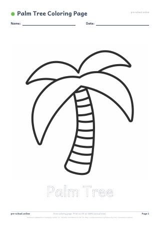 Palm Tree Coloring Page preview