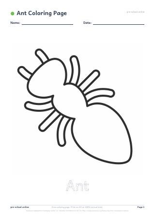 Ant Coloring Page preview