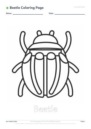 Beetle Coloring Page preview