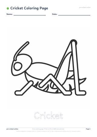 Cricket Coloring Page preview