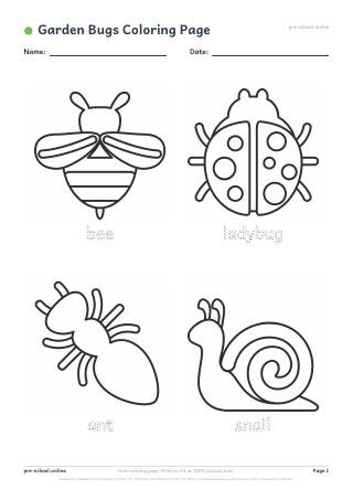 Garden Bugs Coloring Page preview