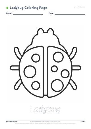 Ladybug Coloring Page preview
