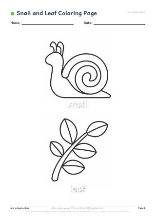 Snail and Leaf Coloring Page preview
