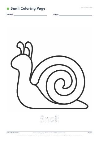 Snail Coloring Page preview