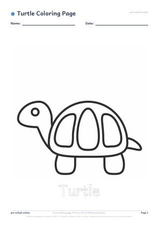 Turtle Coloring Page preview