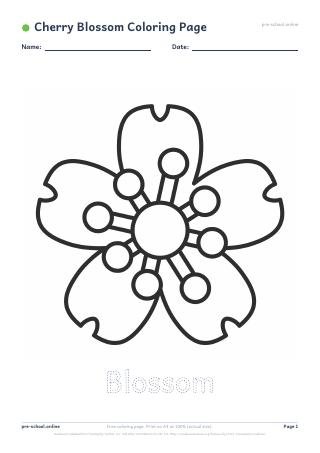 Cherry Blossom Coloring Page preview