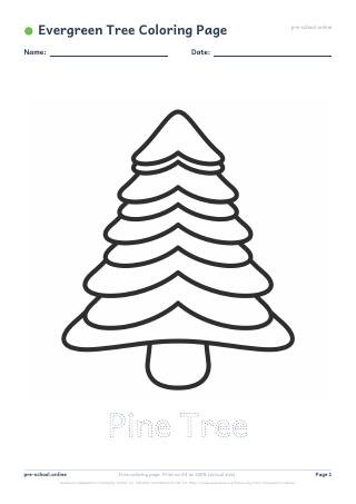 Evergreen Tree Coloring Page preview
