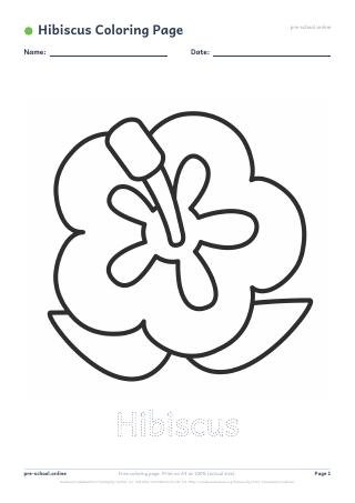 Hibiscus Coloring Page preview