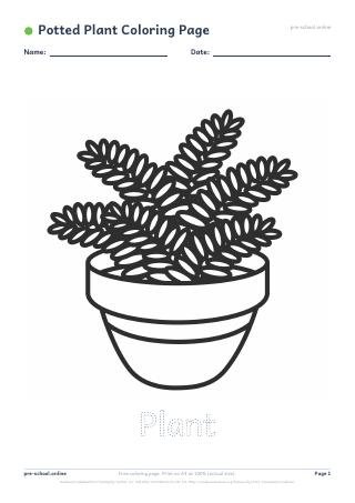 Potted Plant Coloring Page preview