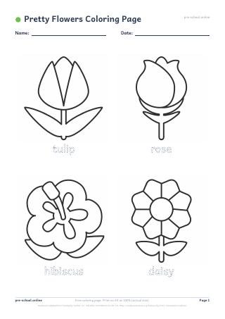 Pretty Flowers Coloring Page preview