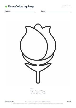 Rose Coloring Page preview