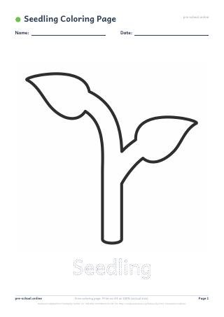 Seedling Coloring Page preview