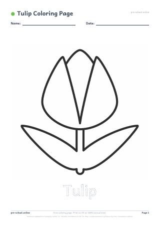 Tulip Coloring Page preview