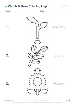 Watch It Grow Coloring Page preview