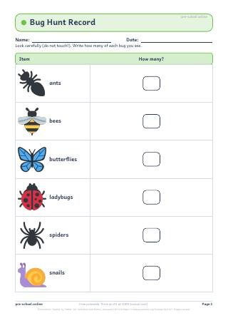 Bug Hunt Record worksheet preview