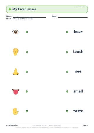 Five Senses worksheet preview