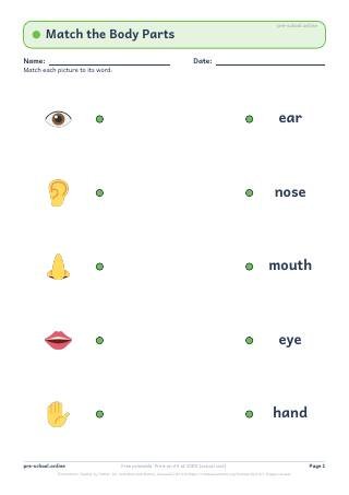 My Body Parts worksheet preview