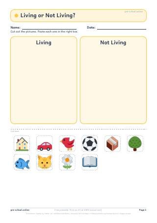 Science worksheet preview